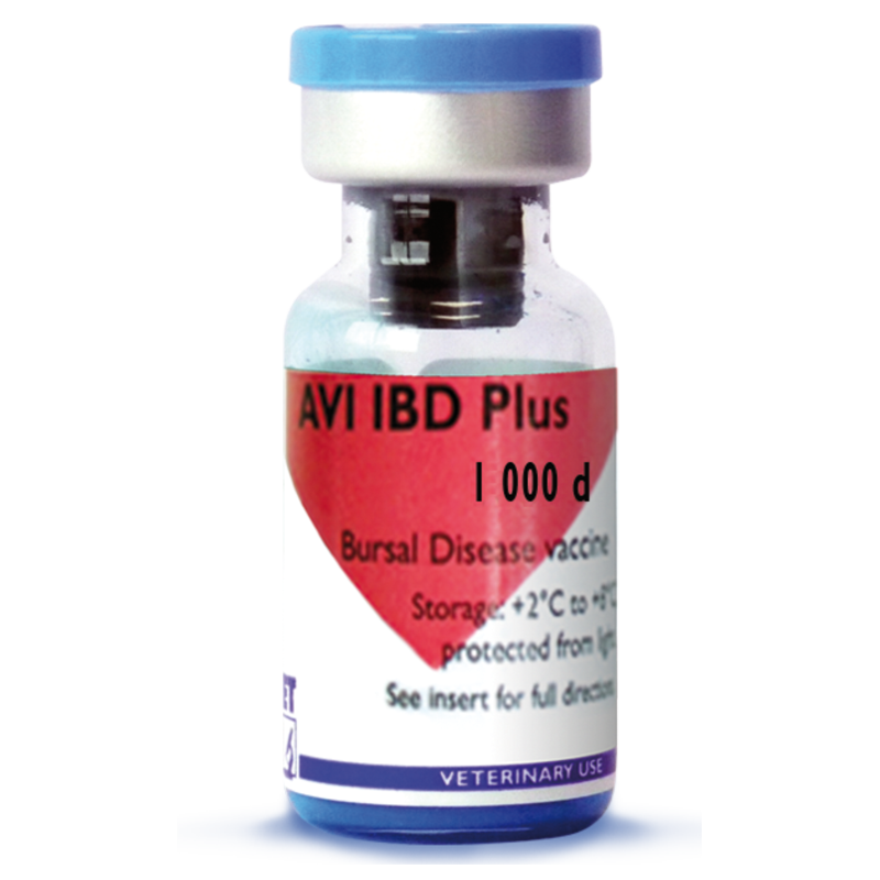 AVI IBD Plus