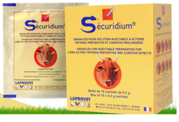 SECURIDIUM