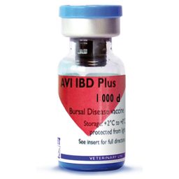 AVI IBD Plus