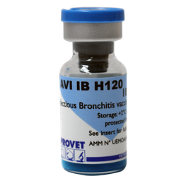 AVI IB H120