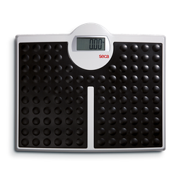 Personal scale SECA 813 Robusta